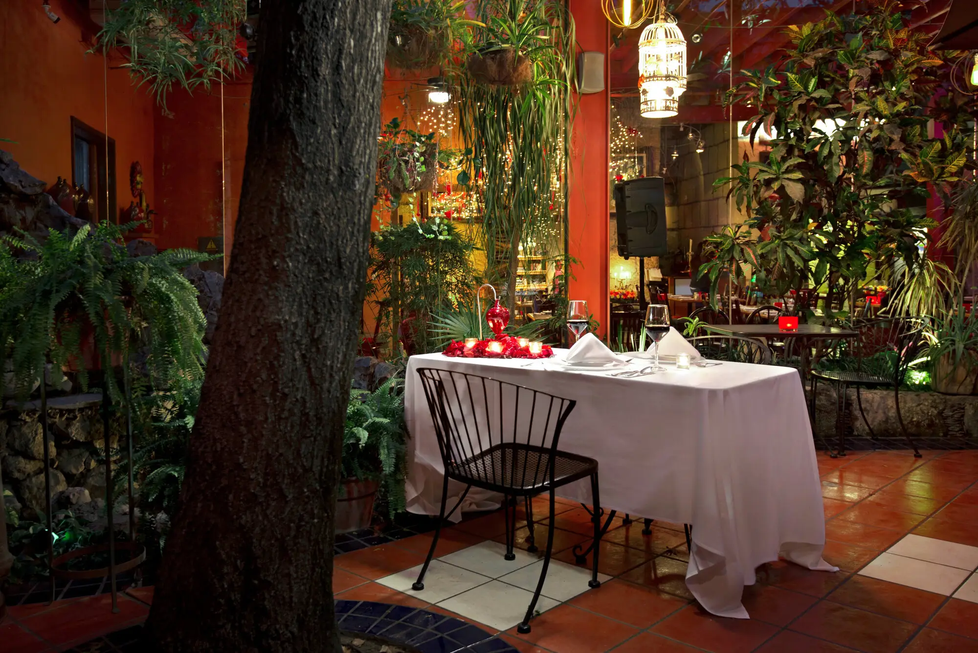 Mesa para dos bajo el árbol del jardín